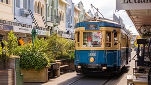 Products: Southern Wonders