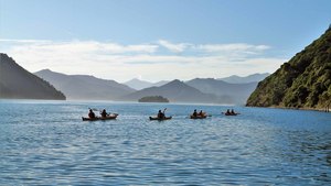 Products: Top of the South Island Self Drive Loop Tour