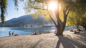 New Zealand Uncovered