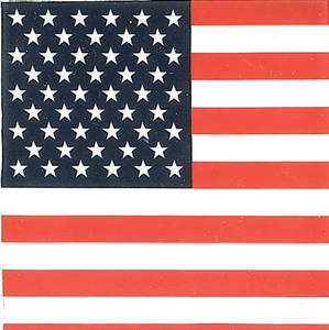 USA Flag Bandana