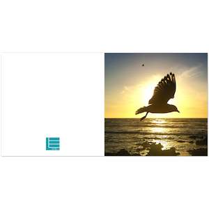 Print Material: Seagull Greeting Card - Pack of 10