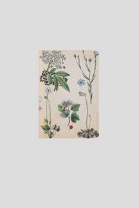 Books: Lettuce Notebook - Field Botany