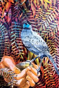 Black And White Prints: Keeping the Song - Kokako