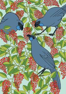 Black And White Prints: Kokako