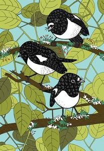 Black And White Prints: NZ Tom Tit / Miromiro