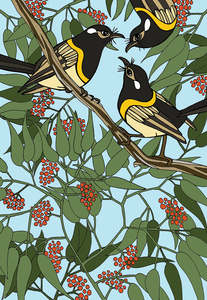 Black And White Prints: NZ Stitch Bird - Hihi