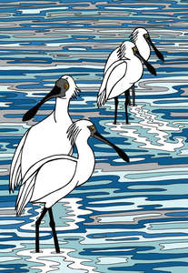 Black And White Prints: Royal Spoonbill