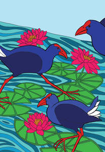Black And White Prints: Pukeko on Water Lillies