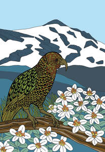 Black And White Prints: Alpine Kea