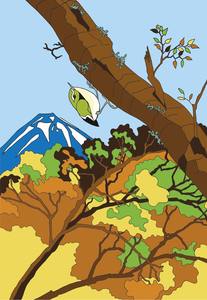 A Kiwi Tiki Tour Series: Tiki Tour - Rifleman - Titipounamu at Mt Ngauruhoe