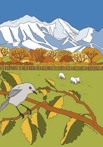 Tiki Tour - Grey warbler at Geraldine