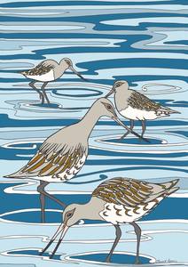 Tiki Tour - Godwits at Miranda