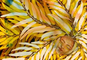 Landscape Prints: Peace