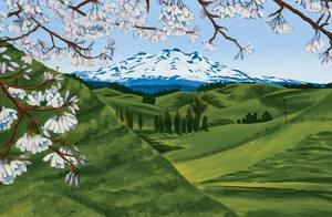 Landscape Prints: Ohakune Spring - Mt Ruapehu