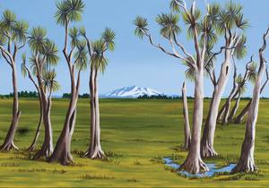 Landscape Prints: Mt Ruapehu and Cabbage Trees