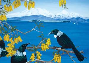 Tui in Kowhai at Lake Taupo