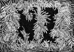 Original Artworks: Original Drawing - NZ