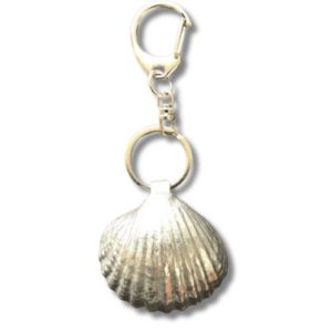 The Chi-Shell - Life Energy Solutions