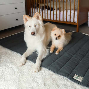 car boot: Corduroy Roll Up Dog Mat