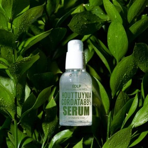 Derma Factory EDLP Houttuynia Cordata 89% Serum 50ml