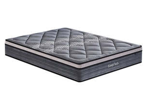 Mattress: Sleep Tech Xtra Firm Mattress