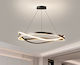 Black Modern Curved Stylish Ceiling Pendant CIR- D60