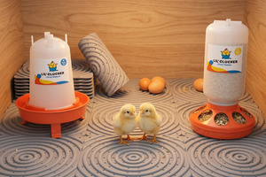 Lilclucker Bundles: Brooder Starter Essentials