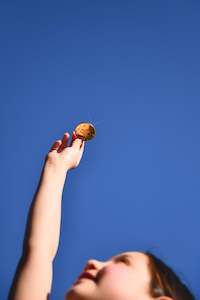 tooth fairy: Tooth Fairy Coins - Grey Pouch