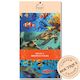 Turtle Reef - Set of 3 Beeswax Wraps