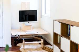 Limber Linear Standing Desk + Posture Course