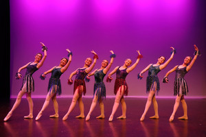 Products: Sea Anemones Step Beyond Studios