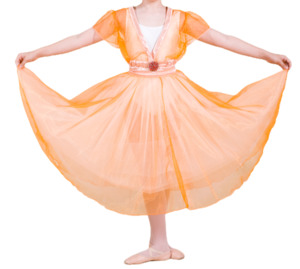 Products: Princess Dresses Step Beyond Studios