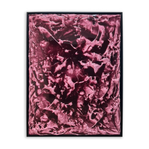 Original Artworks: Xavier Hart - Hanauma