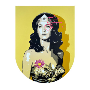 Brad Novak - Amazon 2.12