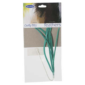 Spring And Summer: Feather Biot, Turquoise