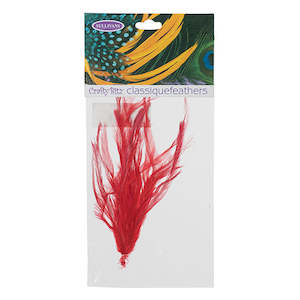Spring And Summer: Emu Feathers, 25pc