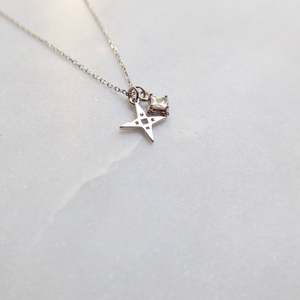 A Dusting of Jewels - Tiny Star Necklace with Embellishment | Silver