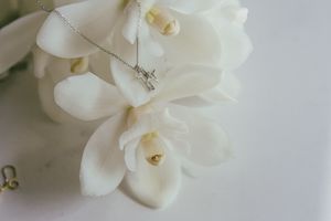 Star Crossed Loves Necklace - Silver