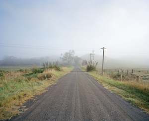 Vanessa Green: Foggy Road