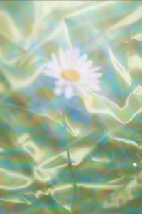 Lou Corry: Lou Corry - Afternoon