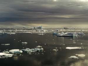 Wendy Brandon: MELT #7, Field, Antarctica 2025