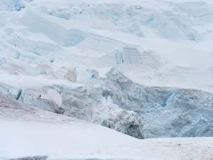 Wendy Brandon: The Faraway