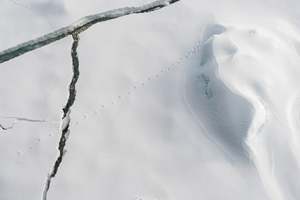 Wendy Brandon: MELT #4, Surface #2