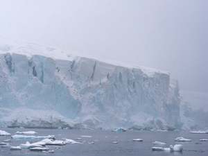 Precarity, West Antarctic, 64º54’S, 62º52’W