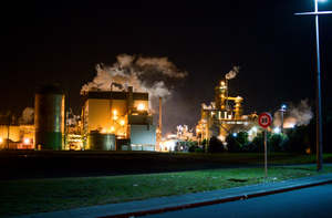 Wendybrandon Trp: The Remembrance Project #3