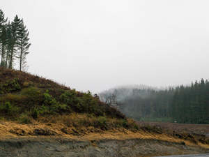 The Remembrance Project #6