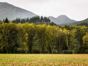 Wendybrandon Trp: The Remembrance Project #1