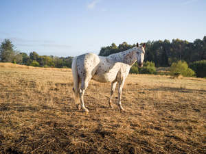 Wendybrandon: Lines of Sight #7