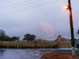 Wendybrandon: Lines of Sight #6