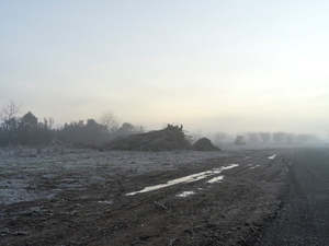 Wendybrandon: Lines of Sight #5